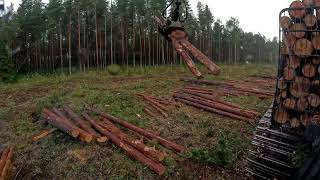 John Deere 1010G Forwarding pine pulpwood in thunderstorm [upl. by Lednahs]