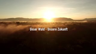 Unser Wald  Unsere Zukunft  Umweltschutz amp Ökotourismus in Kambodscha [upl. by Ynohtnanhoj]