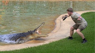 Robert Irwin Solo Croc Show  Australia Zoo [upl. by Aisetra853]