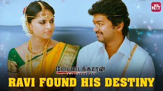 Love at First Sight  Vettaikaaran  Vijay  Anushka Shetty  Sun NXT [upl. by Norton673]