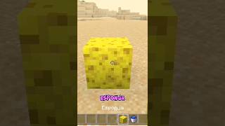 Las esponjas de Minecraft bedrock minecraft mcpe [upl. by Peter]