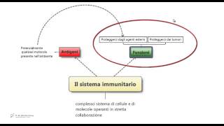 56  Sistema immunitario Riassunto e schema per il test di medicina [upl. by Yokum]