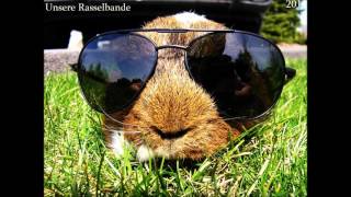 Schatten  Unsere Rasselbande  Meerschweinchen Song [upl. by Dorn]