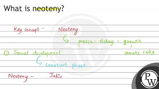 What is neoteny [upl. by Belier254]