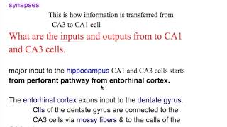 Schaffer collateral axon CA1 and CA3 cells [upl. by Geaghan]