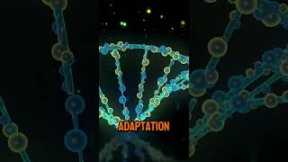 The Role of Genetics in Understanding Human Evolution [upl. by Tomaso]