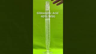 Gibberellic acid [upl. by Meekah]