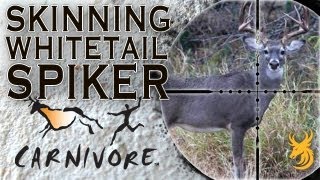 How to Skin a Whitetail Buck [upl. by Rafaelof334]