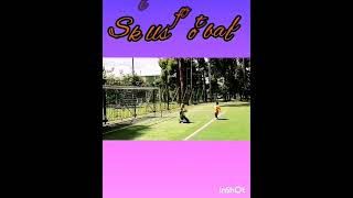 fútbol soccer football [upl. by Lyrak]