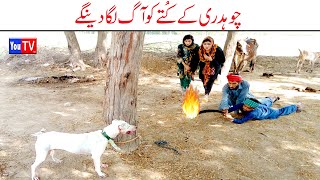 Wada Number Daar Noori Or Chudhry Ka Kuta khushia Kirli New Funny Punjabi Comedy Video 2023  You Tv [upl. by Eustacia]