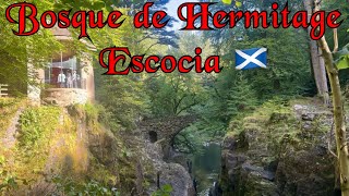 El bosque de quotThe Hermitagequot en las 4 estaciones [upl. by Hadihahs242]