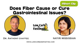 Does Fiber Cause or Cure Gastrointestinal Issues [upl. by Narik179]