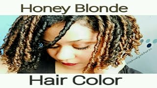 Clairol Textures and Tones Honey Blonde Hair Color Review on Natural Hair [upl. by Je918]