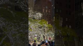 Lights Festival  Chicago  chicago holidays themagmile [upl. by Ateekal904]