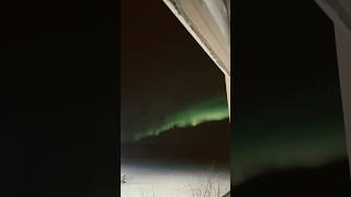 Mesmerizing Northern Lights Display  Nature’s Dazzling Light Show viralvideo northernlights [upl. by Myranda]