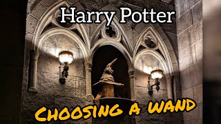 The wizarding world of Harry Potter Magic Show  Universal Studios Choosing a wand [upl. by Bradstreet]