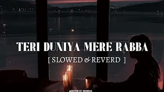 Teri duniy mere rabba slowed reverb full song [upl. by Jareb]