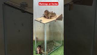 Rattrap at home rat bucketmousetrap rattrap mousetrap rattletrap [upl. by Inaboy229]