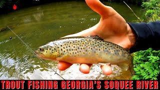 Trout Fishing Georgias Soquee River [upl. by Carine]