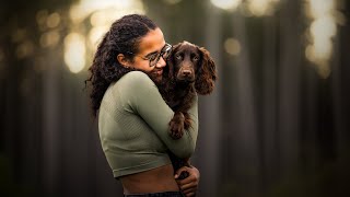 Avignon Moscow amp Nico Working Cocker Spaniel  Border Collie  Mix [upl. by Euv898]