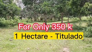 V 449 For Only 350 k 1 Hectare Titulado May Kalsada [upl. by Briney]