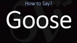 How to Pronounce Goose CORRECTLY [upl. by Romilda]