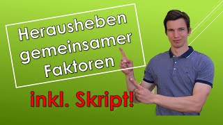 Herausheben gemeinsamer Faktoren mit SKRIPT [upl. by Nnairahs]