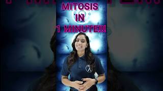 Mitosis A Fascinating Journey Inside Cells🔥mitosis ytshorts youtubeshorts biology shorts [upl. by Adnohsor716]