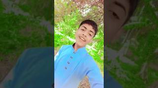 Qari Amanat Rasul syed Allah HussainiI love my Islam and Islamic short videook viral wall Tikt [upl. by Nosyaj]