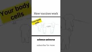 How vaccine works  funnyshorts biology 1million viralshorts [upl. by Ellebana]