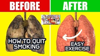 How to Quit Smoking  How to quit smoking successfuly How to break smoking habits Quit smoking tips [upl. by Elladine101]