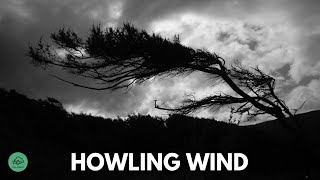 10 HR  HOWLING WIND sounds for sleeping amp relaxation  Dark Screen  Black Screen [upl. by Fording]