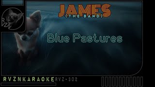 JAMES the band  quotBlue Pasturesquot Karaoke [upl. by Attevroc842]