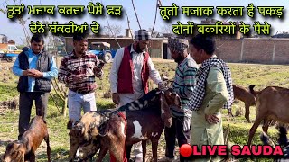 तूतो मजाक करता है पकड़ दोनों बकरियों के पैसे livesauda raykot bakri bazar farmingbaba bakri palan [upl. by Ayokahs]