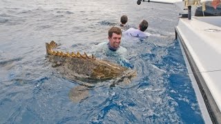 Saltwater Fishing for Huge Predator Fish [upl. by Tarsuss740]