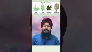 quotPlantae Kingdom Overview  NCERT Explained for NEET UG Aspirantsquot neetncertbiology ncert biology [upl. by Olenka148]