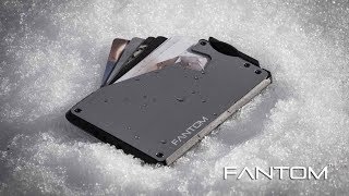 FANTOM WALLET [upl. by Enelia]