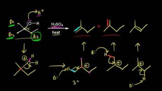 E1 mechanism regioselectivity [upl. by Boudreaux]