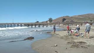 Cayucos Beach Stroll [upl. by Nordek]