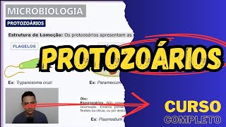 PROTOZOÁRIOS  Características gerais  Microbiologia  Aula 13 [upl. by Vanya847]