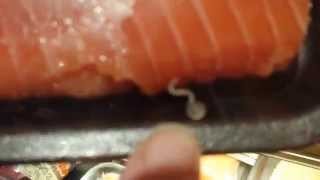 Live worms on salmon at Byerlys [upl. by Itnahs148]