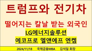 미국 트럼프 대통령과 전기차 반도체 산업 LG엔솔 에코프로 엘앤에프 엔켐 [upl. by Nicolis632]