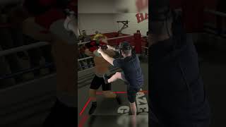 The Thrill of The Fight Perfect Boxing Technique mixedreality [upl. by Shelburne213]