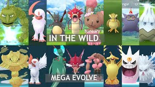 Catching shiny in the wild and mega evolved them feat Mega Steelix Absol and more [upl. by Scoville947]