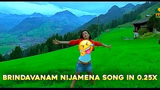 Brindavanam nijamena song in 025x [upl. by Grethel565]