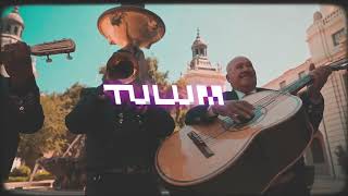 Nati Davis  Tulum Official Music Video  A Little Humpa Humpa [upl. by Tigirb483]