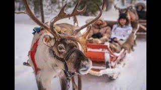 127 Dotarliśmy na koło podbiegunowe Rovaniemi wizyta we wiosce św Mikołaja [upl. by Sarina]