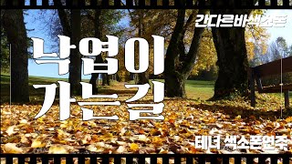 낙엽이가는길 나훈아 ♡ 테너색소폰 [upl. by Hoffman]