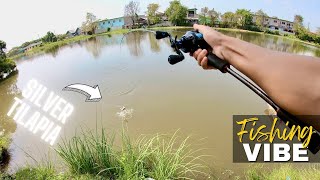 FISHING sa School of Fish Pond  Y2E34 [upl. by Namzaj493]