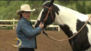 Quick Tip Easy to Use Headstall Make it Easy to Change Bits [upl. by Korten]